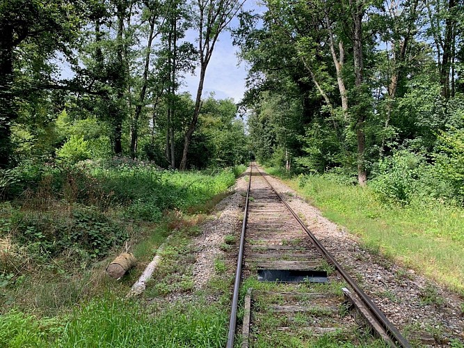 les rails de chemin de fer à Michelbach