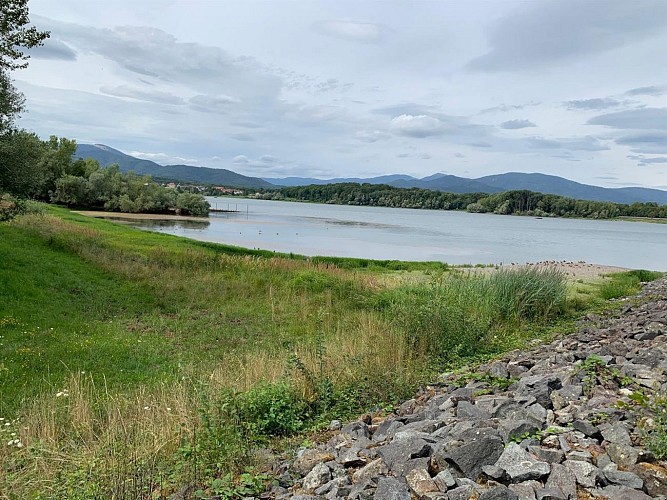 Le plan d'eau de Michelbach