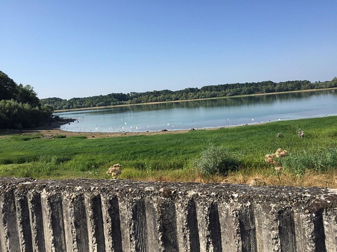 Le plan d'eau de mIchlebach
