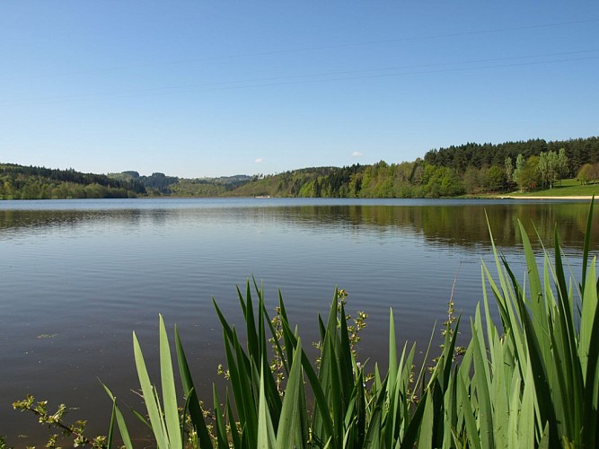 ITI0635-LAC-ET-SOUS-BOIS-A6313AUV063V5084KN