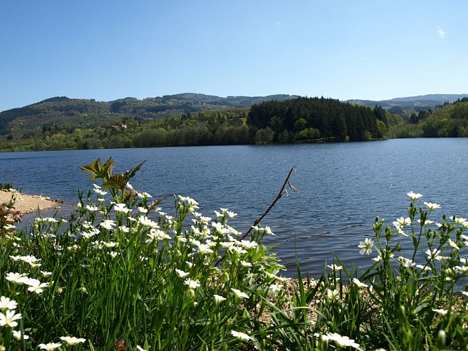 ITI0635-LAC-ET-SOUS-BOIS-A6313AUV063V5084KN