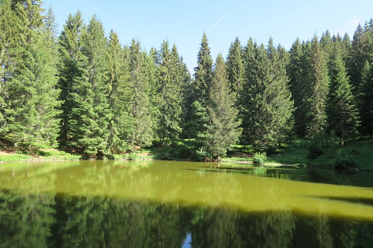 Randonnée pédestre : le lac du Fouyet_Saint-Jean-d'Aulps