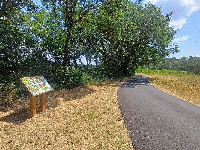 Sentier botanique des rives de l'Issole_Néoules