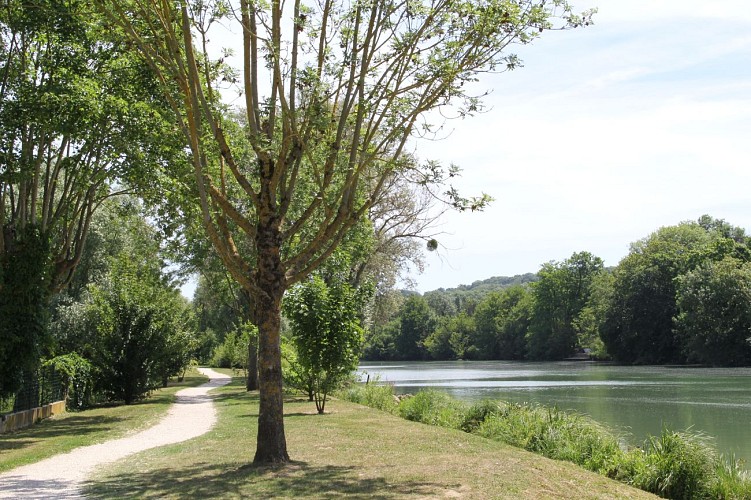 Petite boucle - "Coteaux de la Marne"_Montévrain