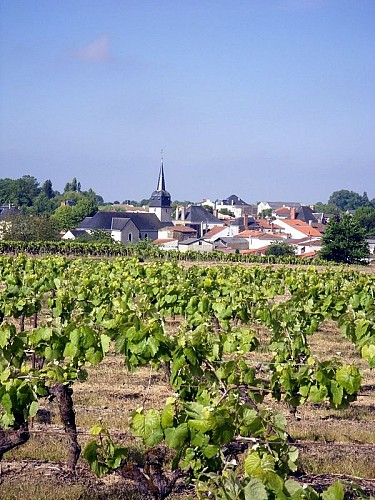 circuit-boucle-pedestre-fleurancellerie-la-regrippiere-44-ITI (7)