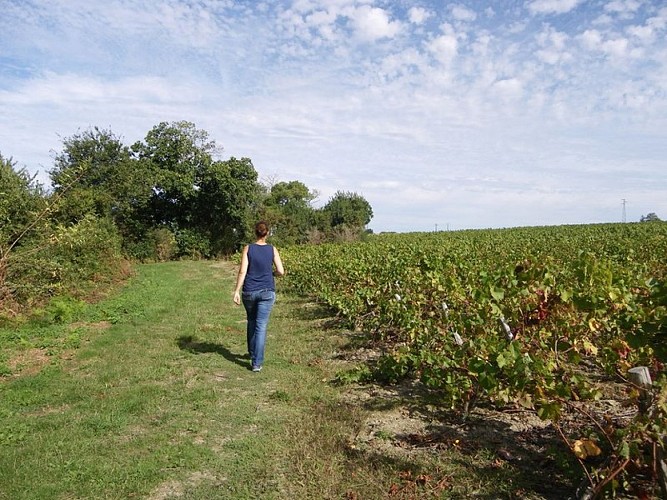 circuit-hte-chapelle-LCBM-levignoblenantes-tour (2)