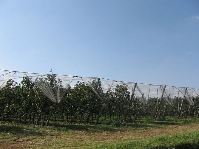 circuit-hte-chapelle-LCBM-levignoblenantes-tour (7)