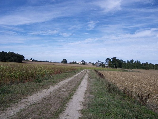 circuit-hte-chapelle-LCBM-levignoblenantes-tour (8)