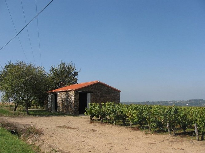 circuit-hte-chapelle-LCBM-levignoblenantes-tour (9)