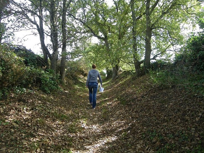 circuit-hte-chapelle-LCBM-levignoblenantes-tourisme (1)
