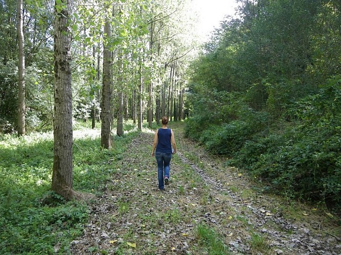 circuit-hte-chapelle-LCBM-levignoblenantes-tourisme
