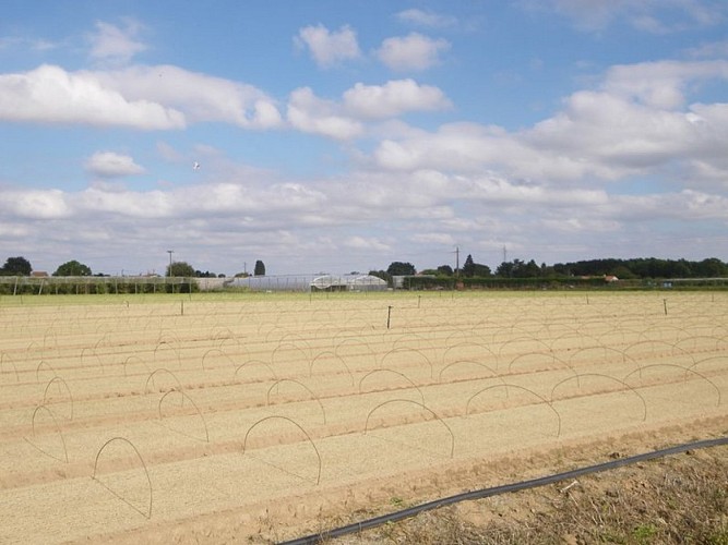 circuit-loire-stdeconcelles-levignoblenantes-tourisme (1)