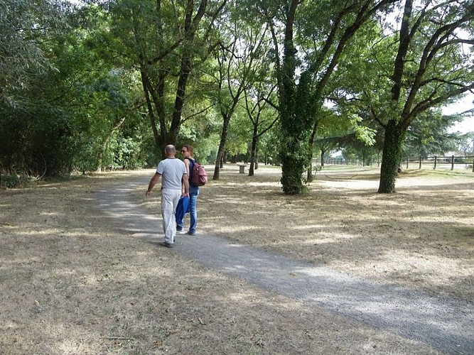 circuit-loire-stdeconcelles-levignoblenantes-tourisme (2)