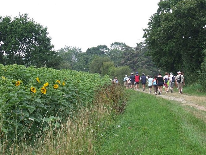 La campagne de la ranndonnée de la Tabardière_3