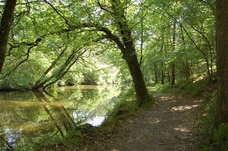 LE Don sous bois_3