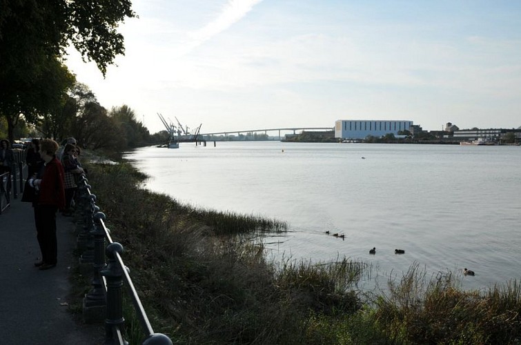 circuit-des-isles-de-loire-reze-44-iti-19