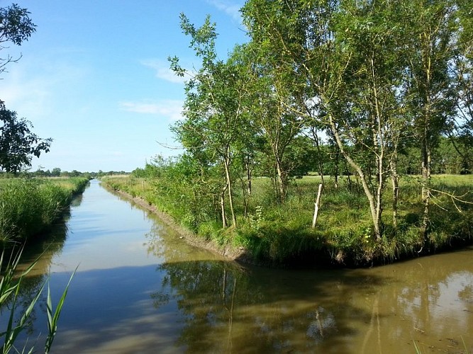 les-marais-ccse-5352_3