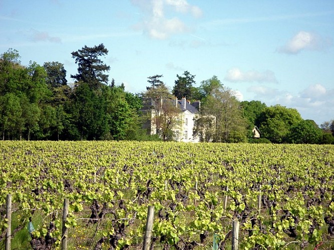 circuit-marais-haute-goulaine-levignobledenantes-tourisme(4)