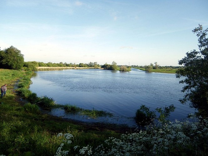 circuit-marais-haute-goulaine-levignobledenantes-tourisme