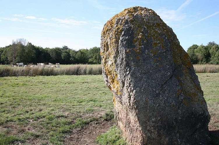 circuit-des-menhirs_1