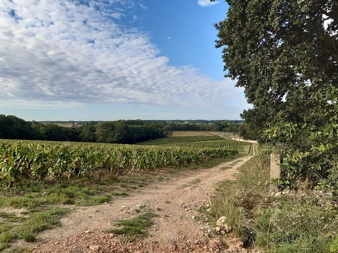 circuit entre moulins et chateaux la haye fouassiere