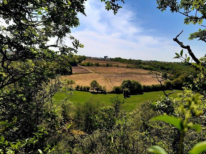 circuit entre moulins et chateaux la haye fouassiere