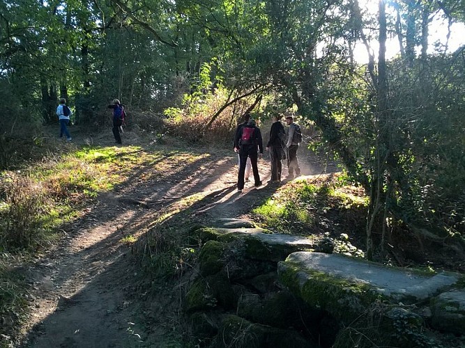 circuit des rochers boussay (2)