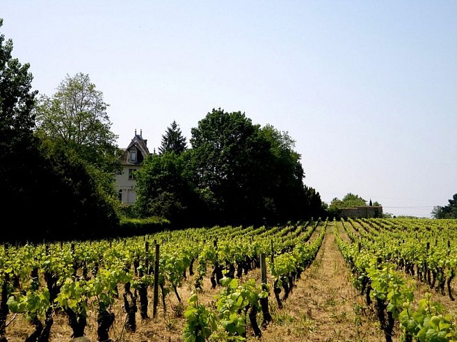 circuit-boucle-pedestre-vigners-en-villages-la-haye-fouassiere-44-ITI (4)