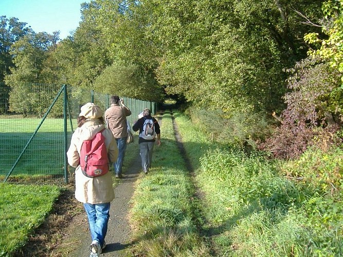 circuit-boucle-pedestre-vigners-en-villages-la-haye-fouassiere-44-ITI (5)