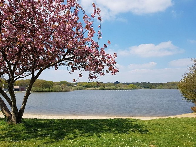 L'Etang Aumée_3