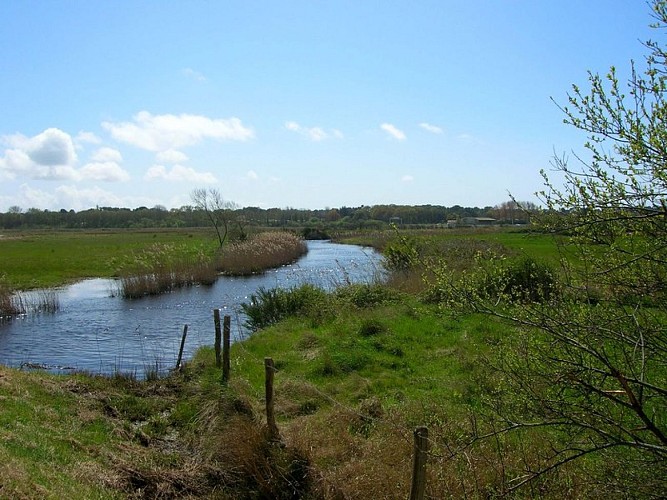 le-boivre-ot-st-brevin-randonnee-ccse-sud-estuaire-loire-atlantique-1484_2