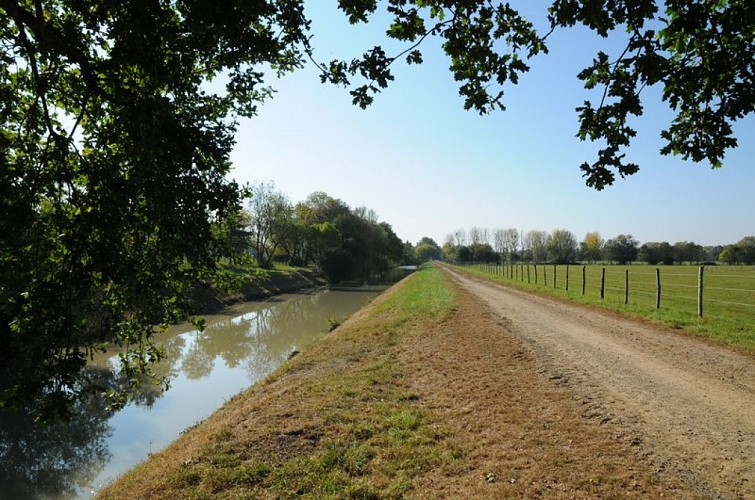 circuit-du-canal-de-goulaine-basse-goulaine-44-iti-5