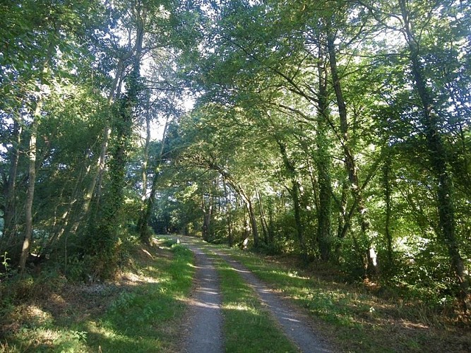 circuit-chateau-hte-goulaine-levignoblenantes-tourisme (4)
