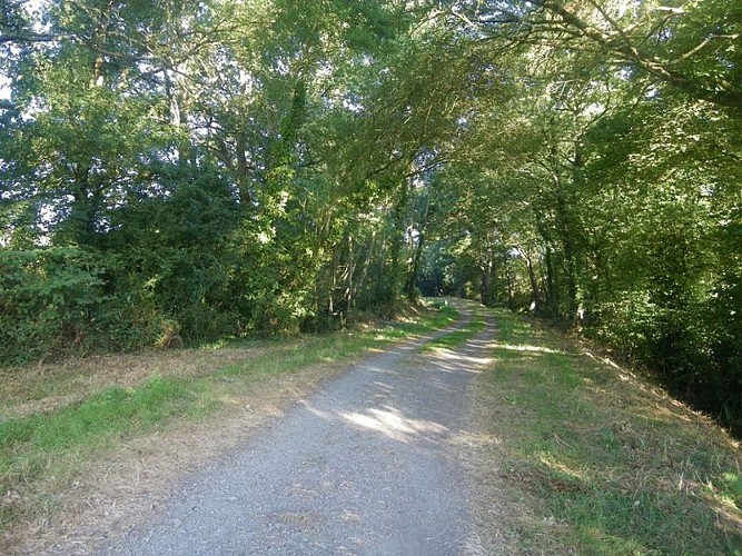circuit-chateau-hte-goulaine-levignoblenantes-tourisme (5)