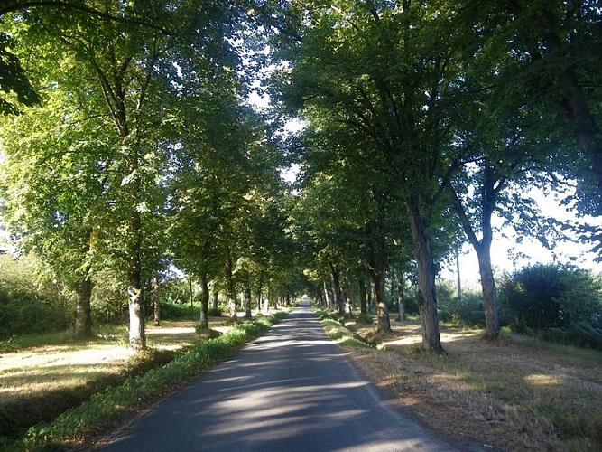 circuit-chateau-hte-goulaine-levignoblenantes-tourisme (6)
