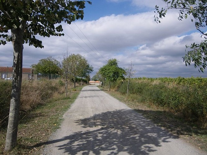 circuit-petitanjou-stjulien-levignoblenantes-tourisme (6)
