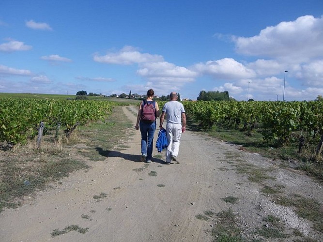 circuit-petitanjou-stjulien-levignoblenantes-tourisme (9)