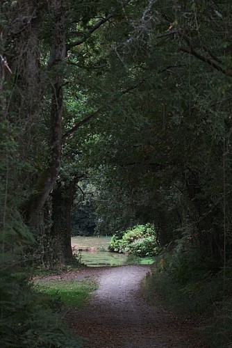 saintpereenretz-airegresillon-chemin-ddufour-11058_7