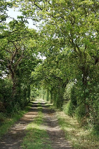 La campagne de Saint-Michel_5