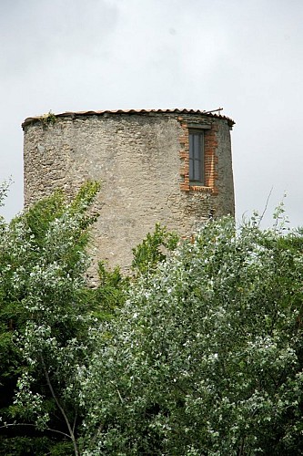 Les moulins_4