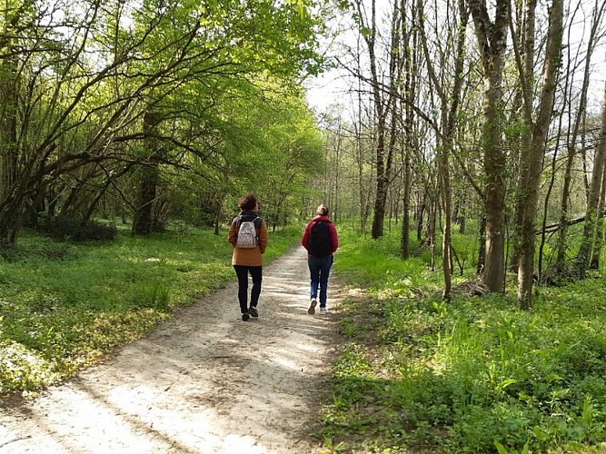 Soif de nature (1)