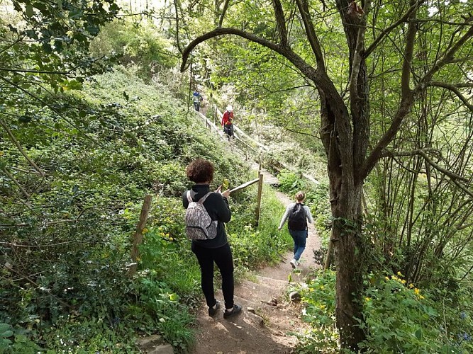 Soif de nature (3)