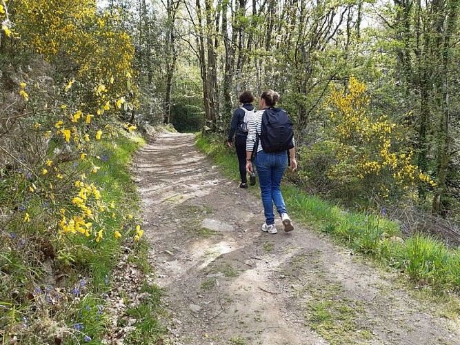 Soif de nature (4)