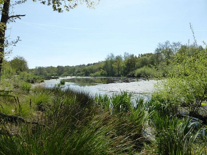 Marais-Etang-Herve