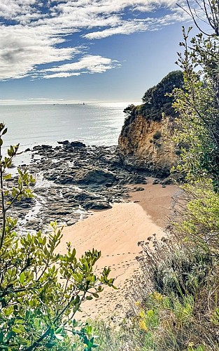 Vue sur la plage de Saint-Eugène depuis le chemin côtier