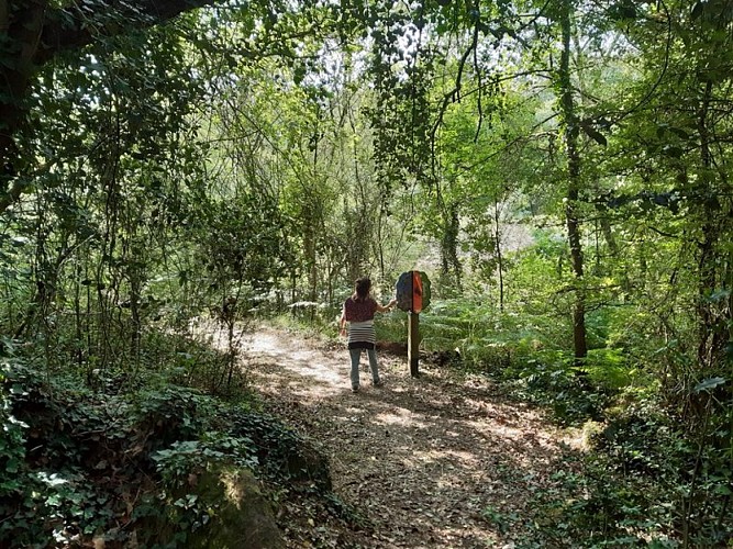 Grp de sevre et maine boucle du vignoble