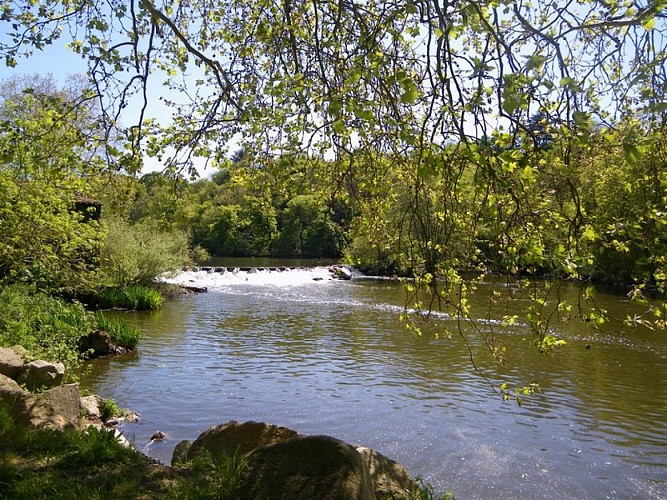 Grp de sevre et maine boucle du vignoble