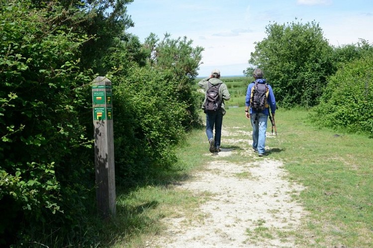 GRP® Tour de Brière - Secteur Ile Jacquet_8