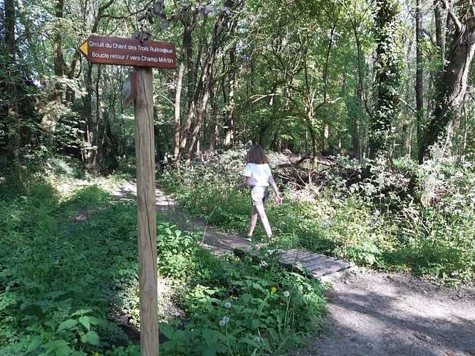 Bois de l'Oumeau Boucle de la Maine