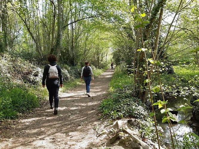 Entre Maisdon et Saint Lumine Boucle de la Maine